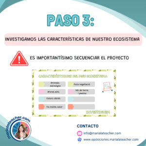 Fase de investigación del ecosistema en el proyecto ABP